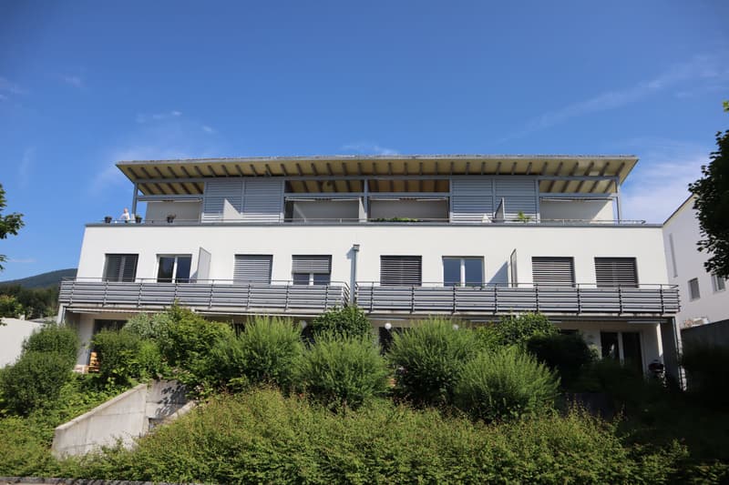 Die Sonne auf Deinem neuen Sitzplatz geniessen? (2)