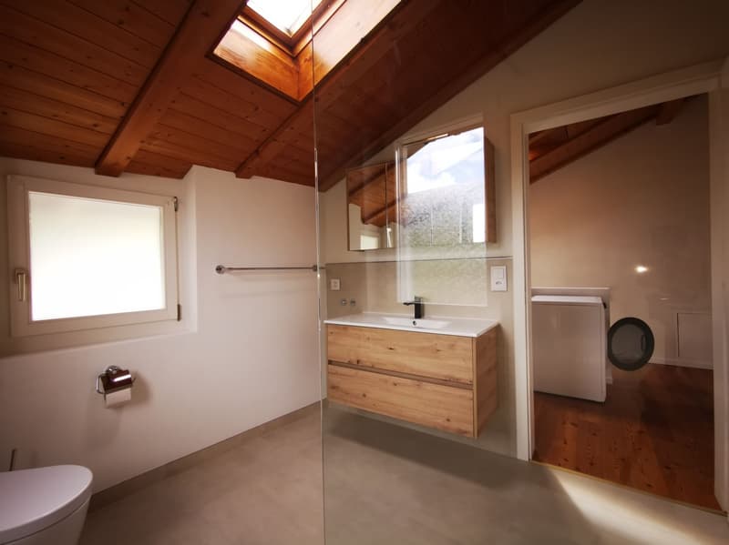 Doppeleinfamilienhaus im Zürcher Oberland mit Blick auf den See! (6)