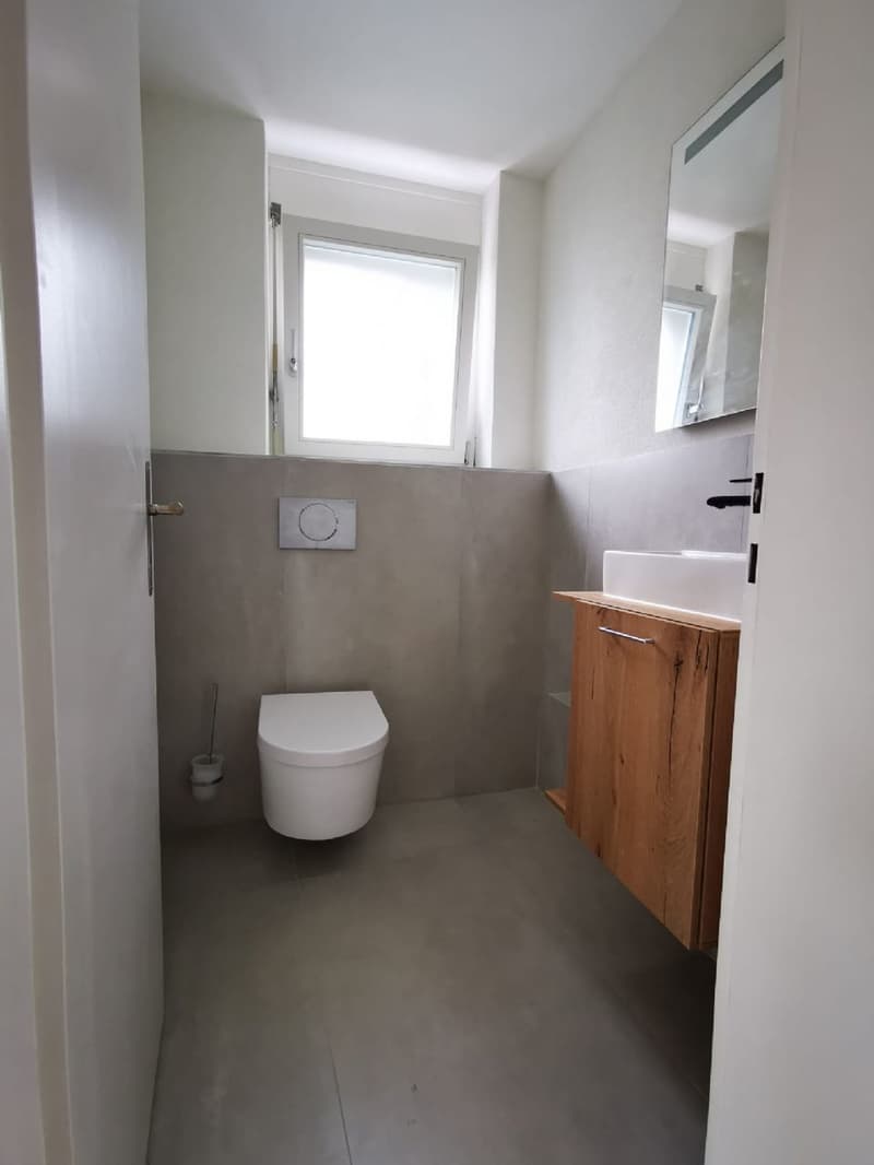 Doppeleinfamilienhaus im Zürcher Oberland mit Blick auf den See! (5)