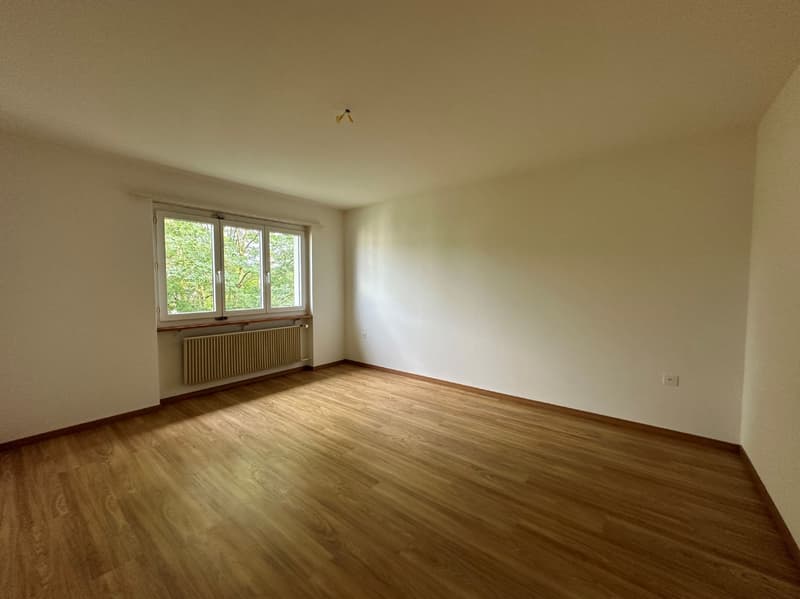 Helle und grosszügige Wohnung an zentraler Lage zu vermieten! (4)