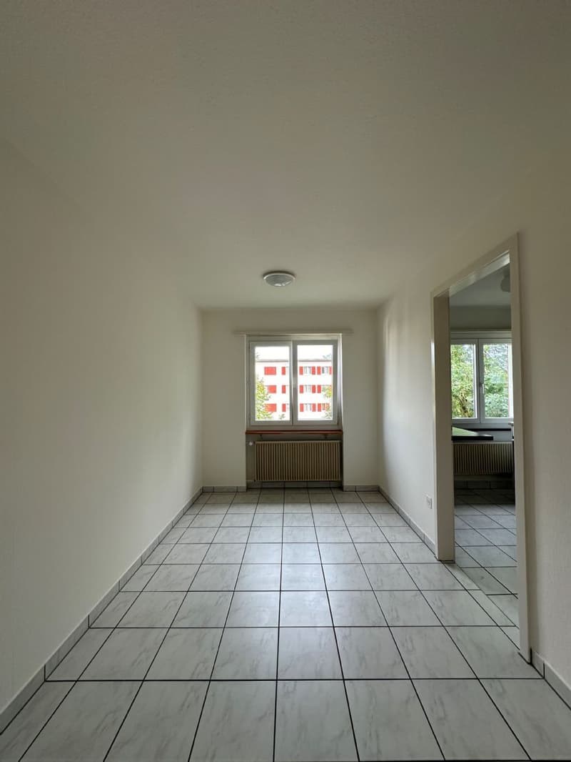 Helle und grosszügige Wohnung an zentraler Lage zu vermieten! (5)