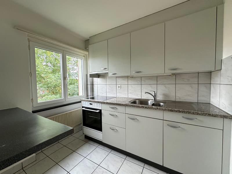 Helle und grosszügige Wohnung an zentraler Lage zu vermieten! (2)