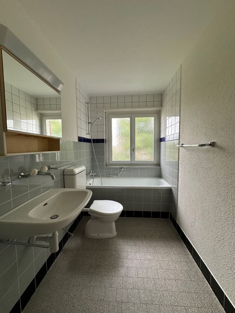 Helle und grosszügige Wohnung an zentraler Lage zu vermieten! (6)