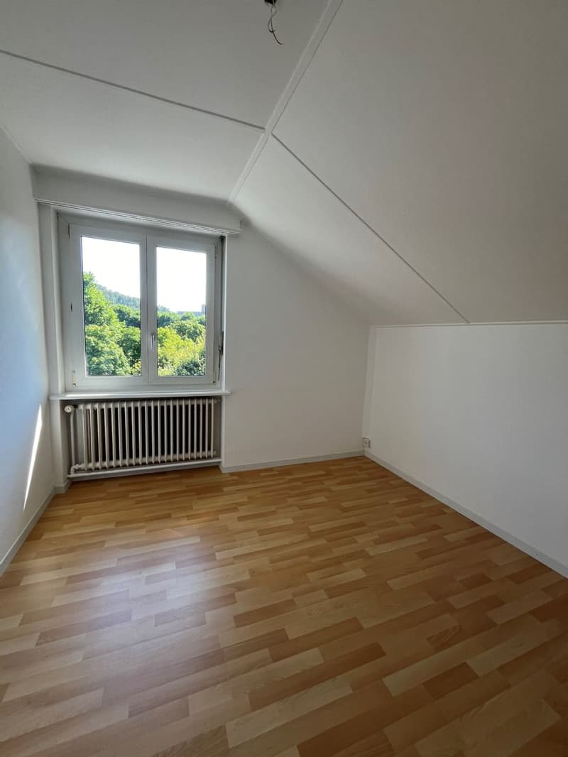Frisch sanierte Dachgeschosswohnungen zum Wohlfühlen! (4)