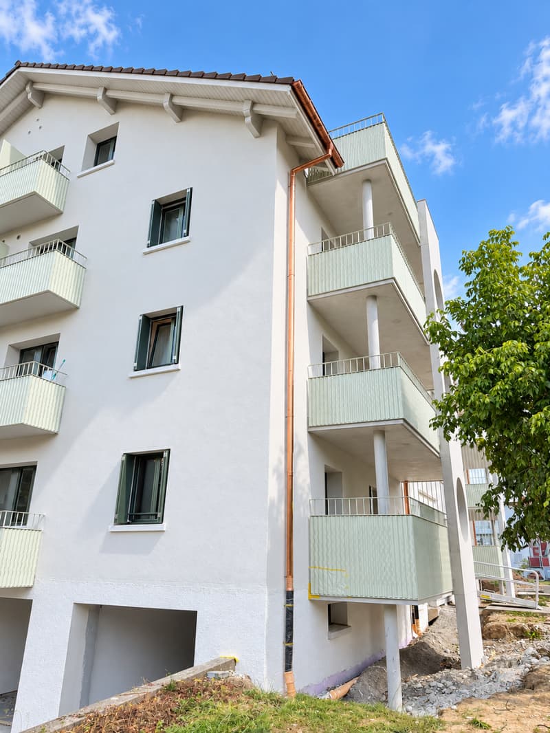 Wohnung direkt neben dem Vögeligarten! (1)