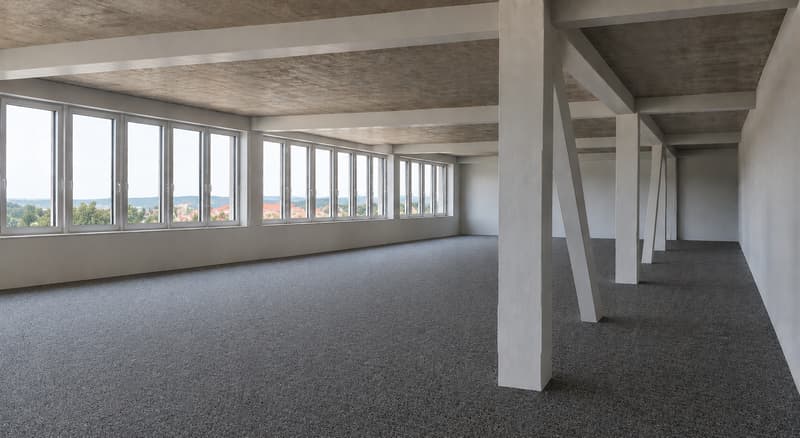 Neue Bürofläche im 4. OG mit 223m2 mit grosser Dachterrasse (6)