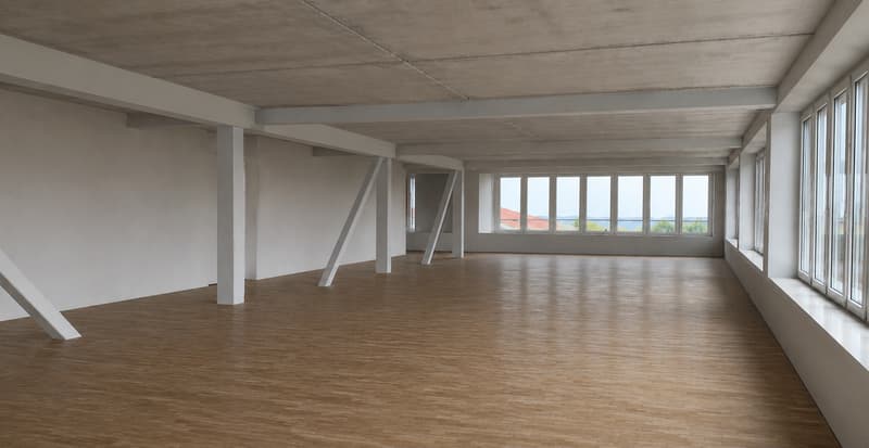 Neue Bürofläche im 4. OG mit 223m2 mit grosser Dachterrasse (3)