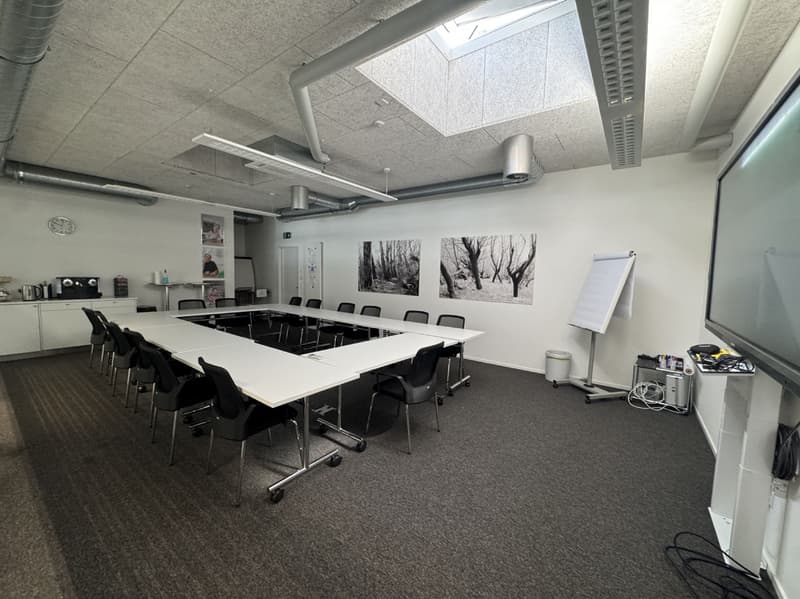 Bürofläche im 2. OG mit 156m2 mit grosser Dachterrasse (4)
