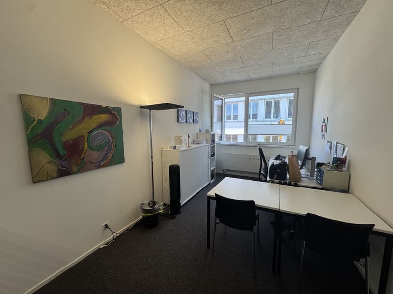 Bürofläche im 2. OG mit 156m2 mit grosser Dachterrasse (2)