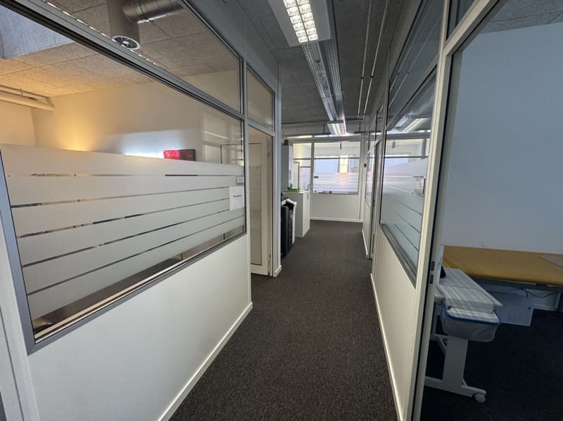 Bürofläche im 2. OG mit 156m2 mit grosser Dachterrasse (5)