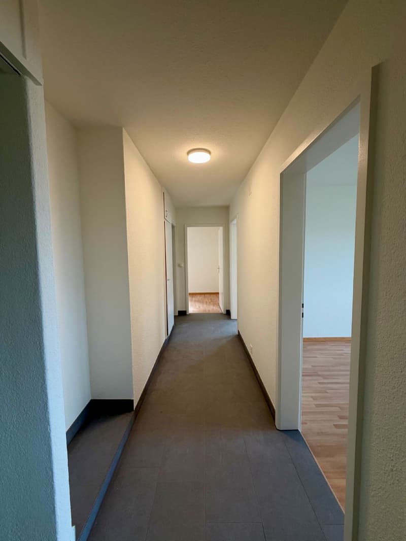 Teilsanierte Wohnung an ruhiger Lage im Grünen, direkt am Waldrand! (8)