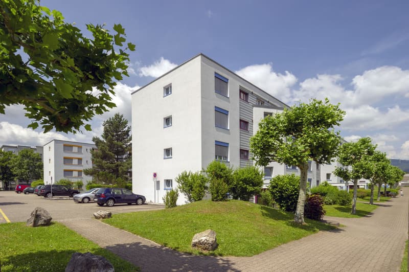 Ideal gelegen zwischen Olten und Aarau, Nähe ÖV! (8)