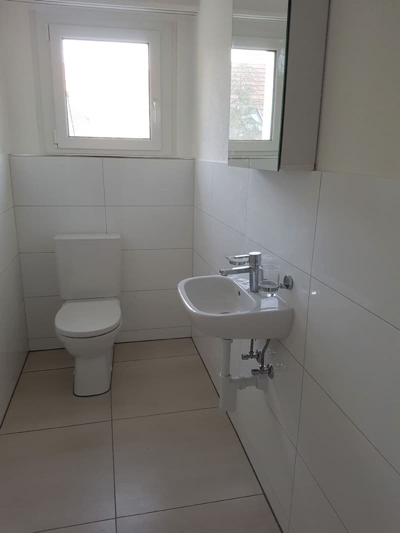 Familienfreundliche Wohnung in ruhigem Quartier! (4)