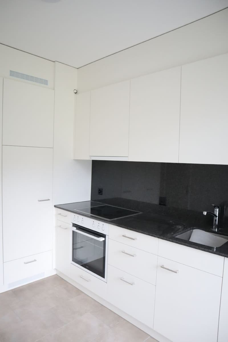 Tolle Pendler-Wohnung zwischen Olten/Aarau, Nähe ÖV/Einkauf! (2)