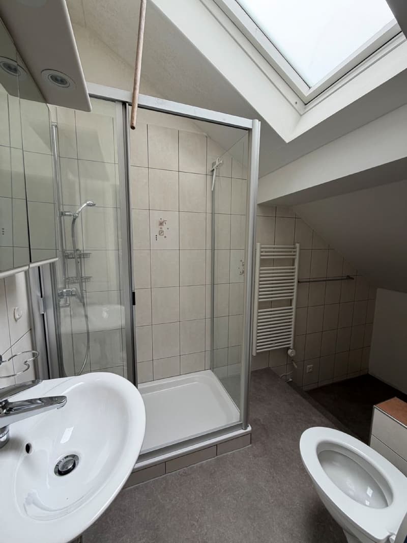 Wohnglück in Dulliken - Ihr neues Zuhause! (7)