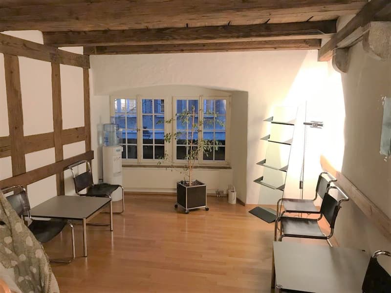 Attraktive Wohn- und Geschäftsliegenschaft im Herzen von Olten (13)