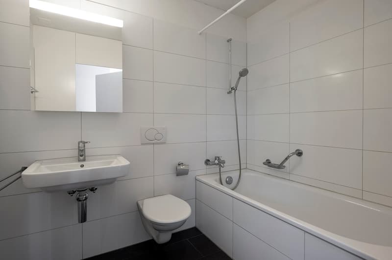 White sink, shower area, bathtub, mirror, white toilet, towel holder