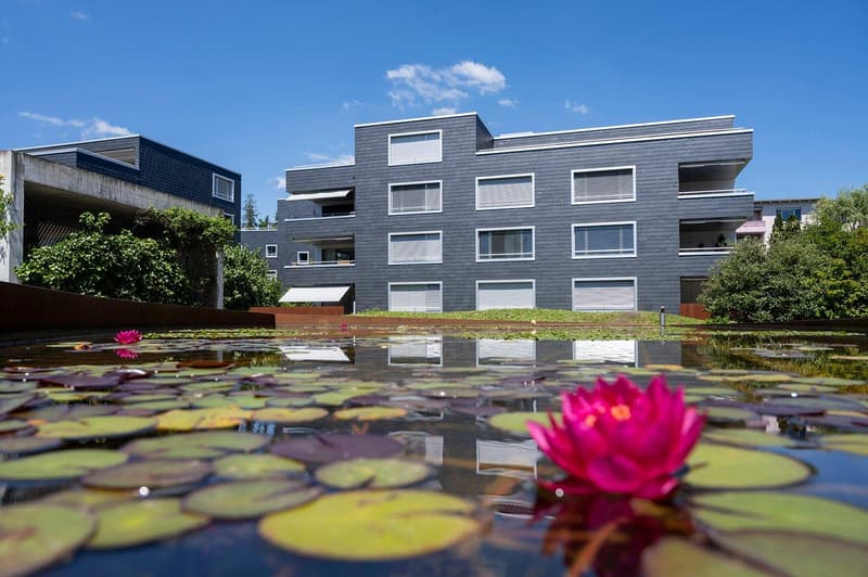 Modern grey building with large windows, small balcony, situated near a water pond with lily pads and flowers
