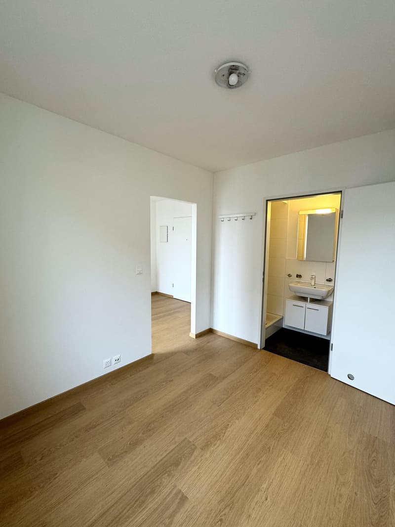 Living in the heart of Zurich (2)