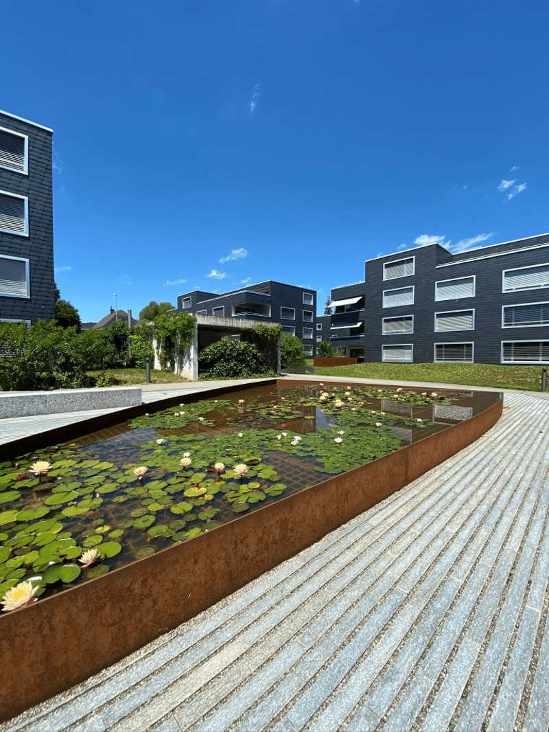 A large pond with water lilies, surrounded by a metal border, in a landscaped garden area with buildings in the background.