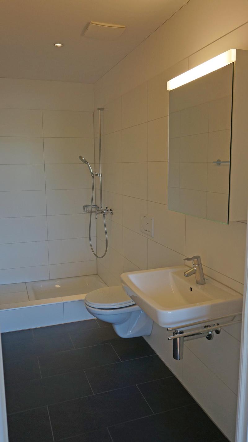 Bathroom with bathtub, toilet, sink, mirror, shower head, and shower rail