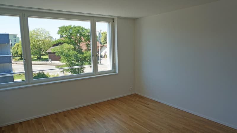 empty room, wooden floor, large windows, white walls, power outlet