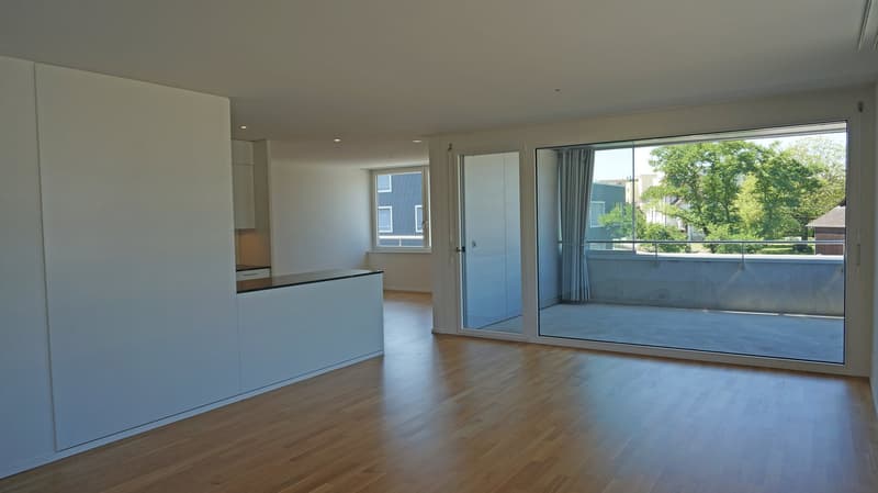 modern kitchen with white cabinets, wooden floor, large windows, balcony