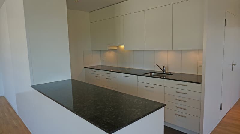 modern kitchen with white cabinets, black granite countertops, stainless steel sink, and a dishwasher