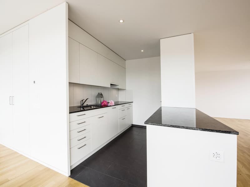 modern kitchen with white cabinets, black countertops, wooden floor, stainless steel faucet, power outlet