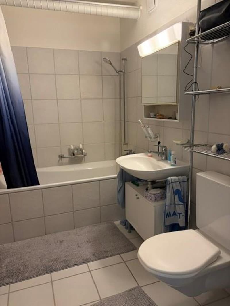 4.5 room apartment in Hagenbuch (4)