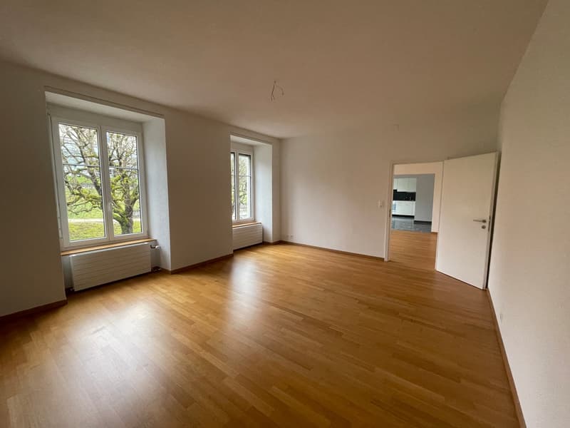 Charming 3-room apartment with historic flair in the heart of Baden (8)