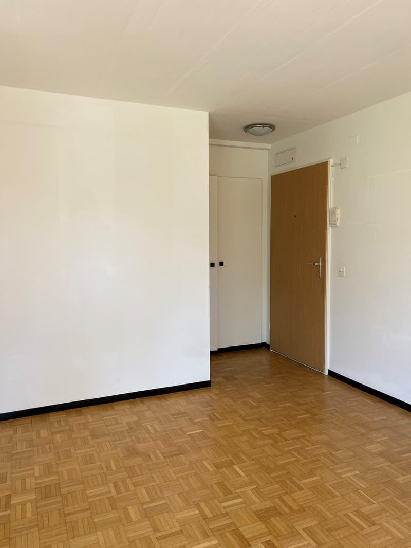 Vivere nel centro di Zürich-Seebach - limitato fino al 31.03.2027 (4)