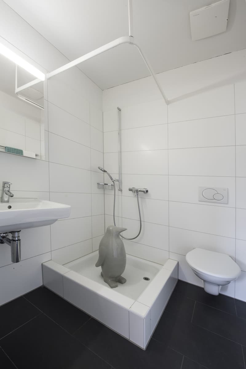Modern living with plenty of comfort – attractive 3.5-room apartment in Unterentfelden (8)