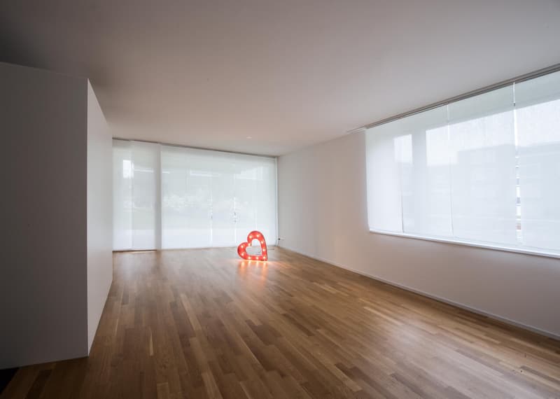 Modern 2.5-room apartment with large seating area in Unterentfelden (4)