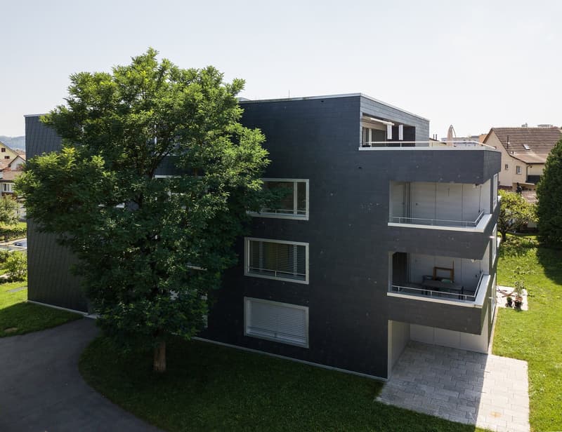 Modern 2.5-room apartment with large seating area in Unterentfelden (1)