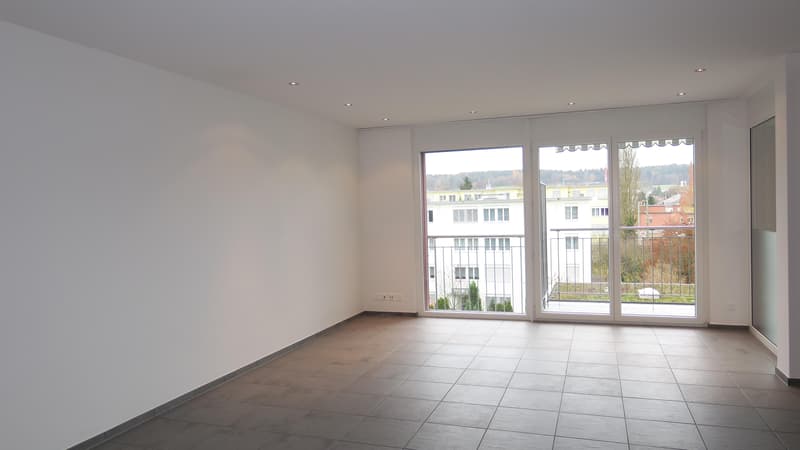 3.5 Zimmerwohnung in Winterthur (4)