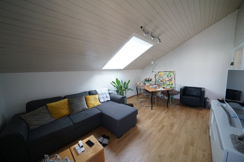 Appartamento mansardato 2 locali con vista su Schaffhausen (5)