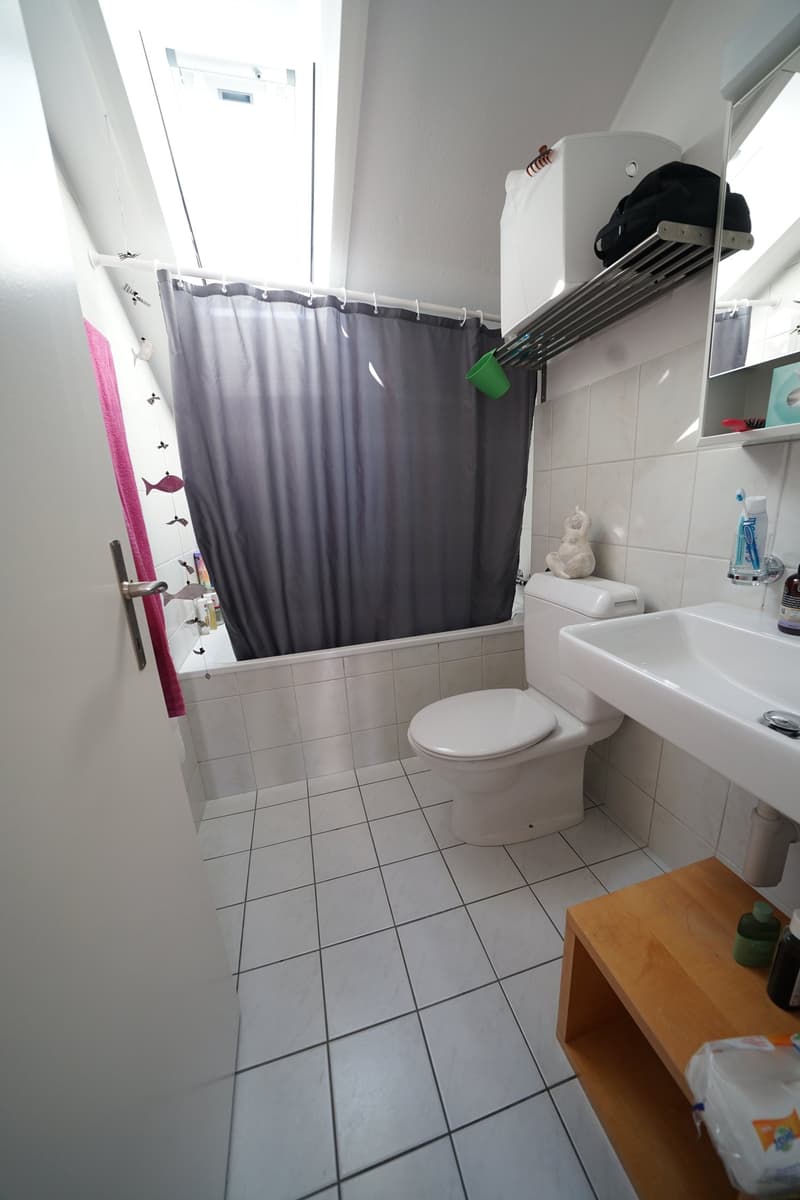 Appartamento mansardato 2 locali con vista su Schaffhausen (8)