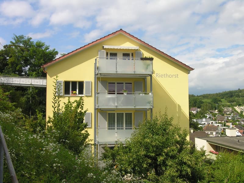 Appartamento mansardato 2 locali con vista su Schaffhausen (2)