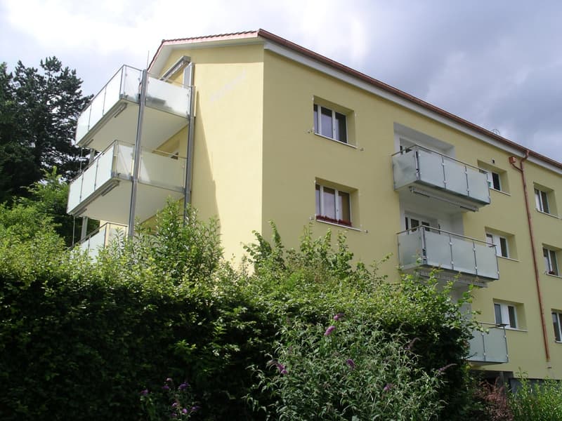 Appartamento mansardato 2 locali con vista su Schaffhausen (1)