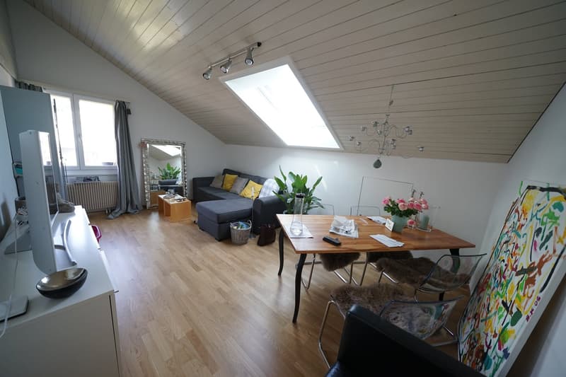 Appartamento mansardato 2 locali con vista su Schaffhausen (4)