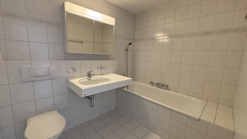zentral in Aadorf (6)