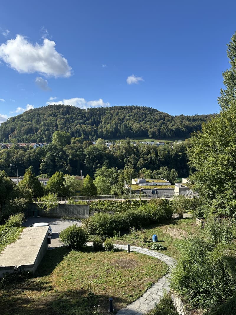 5.5 Zimmerwohnung in Eglisau (12)