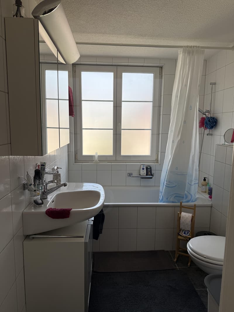 4.5 Zimmerwohnung in Winterberg ZH (6)