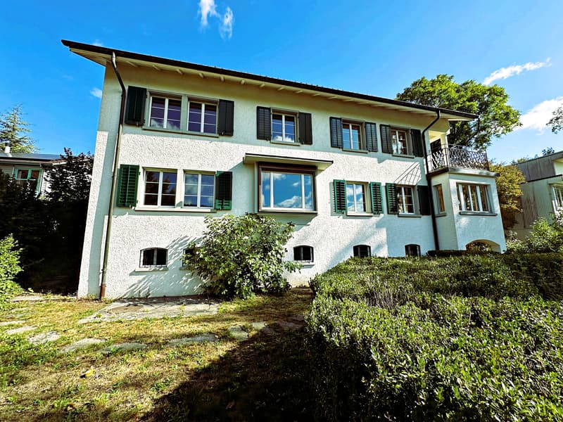 Wohnen in Rheinnähe im schönen Eglisau (1)