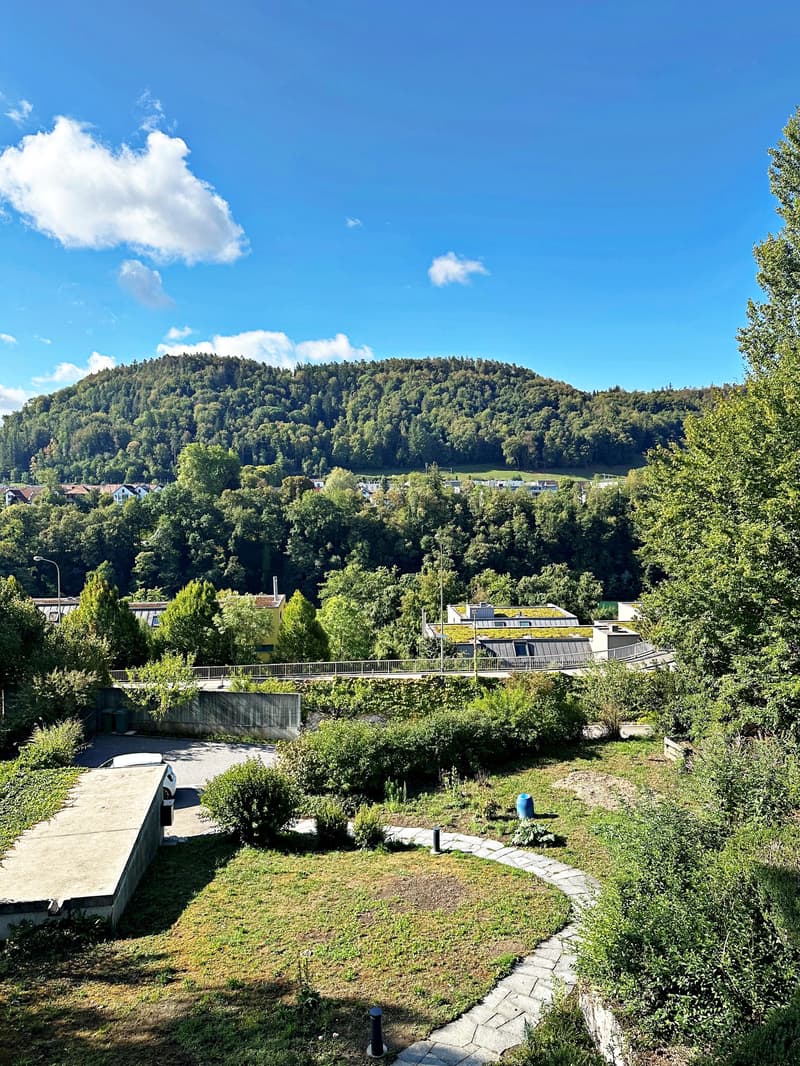Wohnen in Rheinnähe im schönen Eglisau (5)