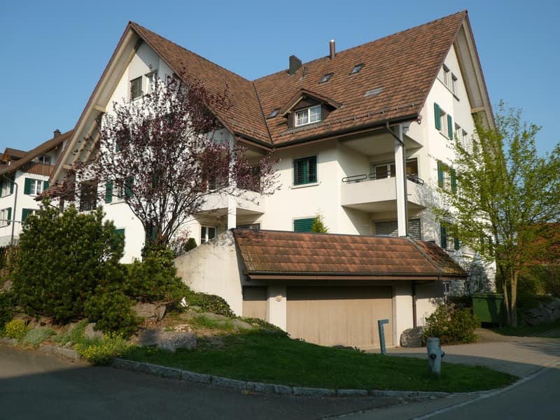 Helle Wohnung mit Sitzplatz (1)