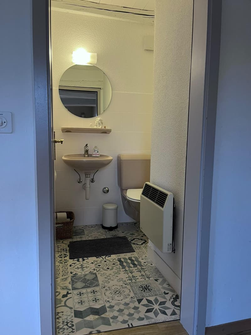 Charmante Altbauwohnung in Schaffhausen (6)