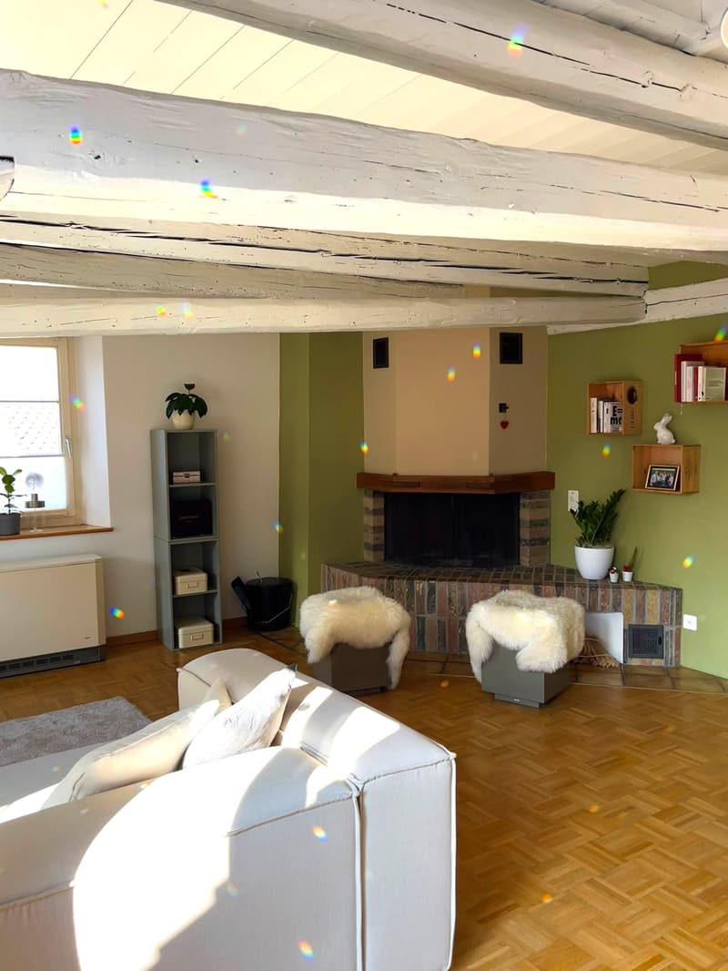 Charmante Altbauwohnung in Schaffhausen (2)