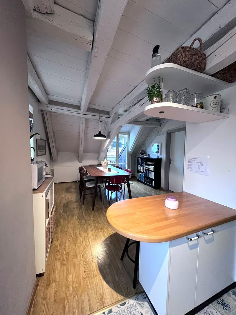 Charmante Altbauwohnung in Schaffhausen (4)